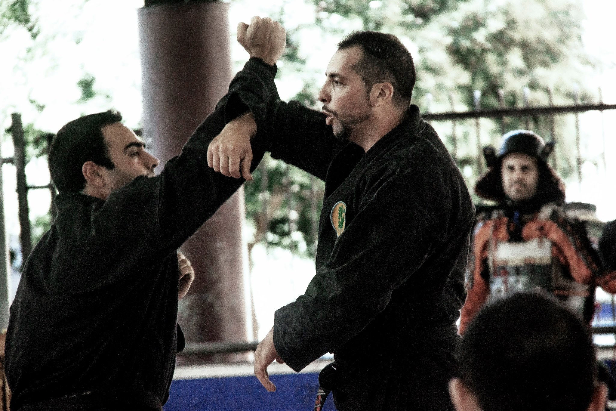 37659002_1759630747418537_5991166468077649920_n